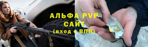 ГАЛЛЮЦИНОГЕННЫЕ ГРИБЫ Богданович