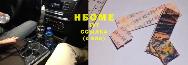 ГАЛЛЮЦИНОГЕННЫЕ ГРИБЫ Богданович