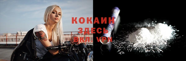ГАЛЛЮЦИНОГЕННЫЕ ГРИБЫ Богданович