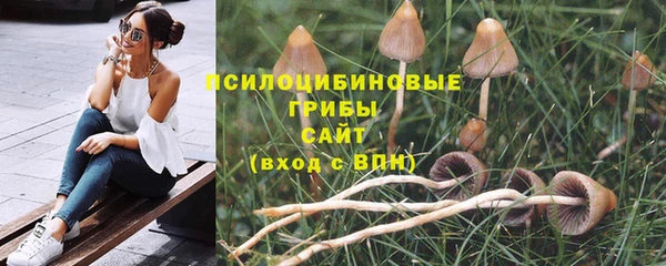 ГАЛЛЮЦИНОГЕННЫЕ ГРИБЫ Богданович