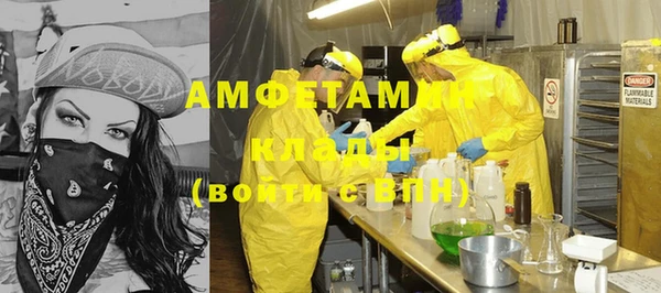 ГАЛЛЮЦИНОГЕННЫЕ ГРИБЫ Богданович