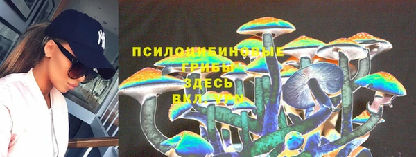 ГАЛЛЮЦИНОГЕННЫЕ ГРИБЫ Богданович