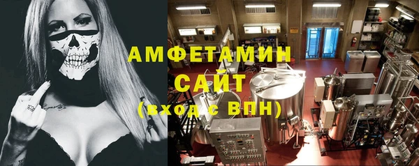 ГАЛЛЮЦИНОГЕННЫЕ ГРИБЫ Богданович