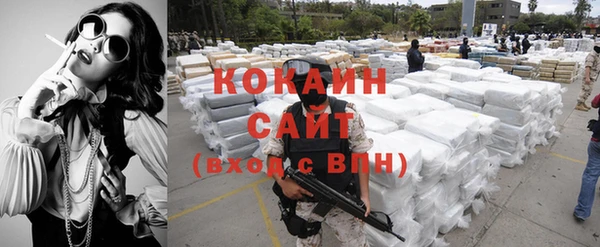 ГАЛЛЮЦИНОГЕННЫЕ ГРИБЫ Богданович