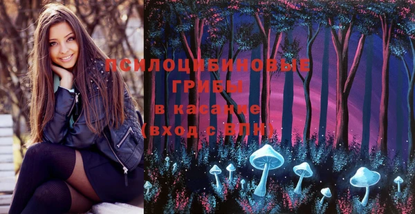 ГАЛЛЮЦИНОГЕННЫЕ ГРИБЫ Богданович