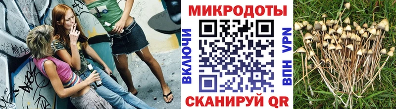 Псилоцибиновые грибы ЛСД  darknet наркотические препараты  Малая Вишера 